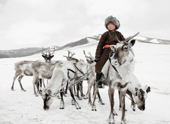 Menyusuri Kehidupan Suku Penggembala Rusa Kutub di Padang Liar Mongolia